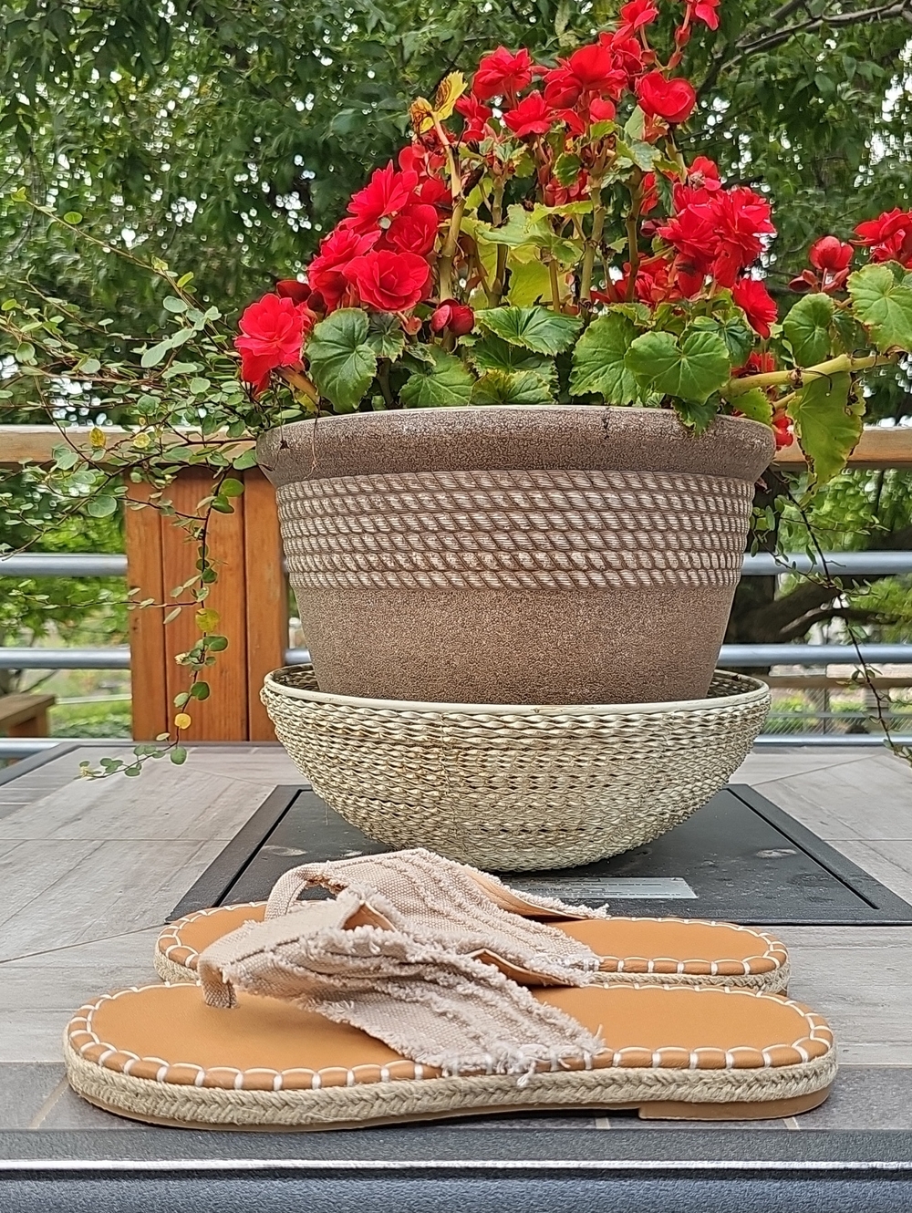 Flip Flops - Picture 7 of 7